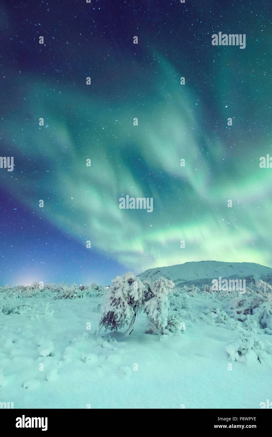 Erstaunlich authentische Nordlichter tanzen in einer sternenklaren Himmel über verschneite Landschaft Stockfoto