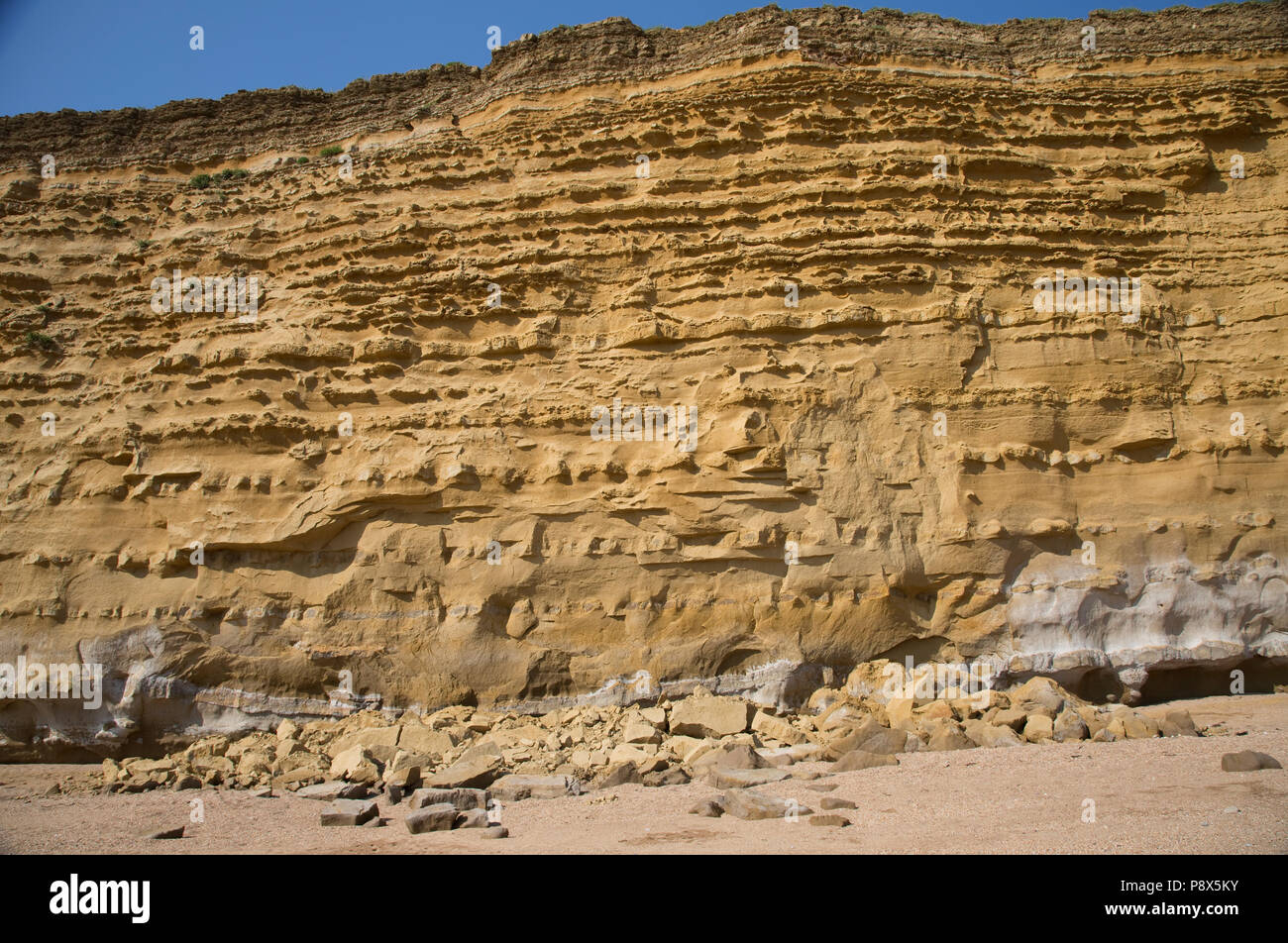 Ikonische golden Felsen West Bay und Hive Strand Burton Bradstock Jurassic Coast Dorset UK Stockfoto