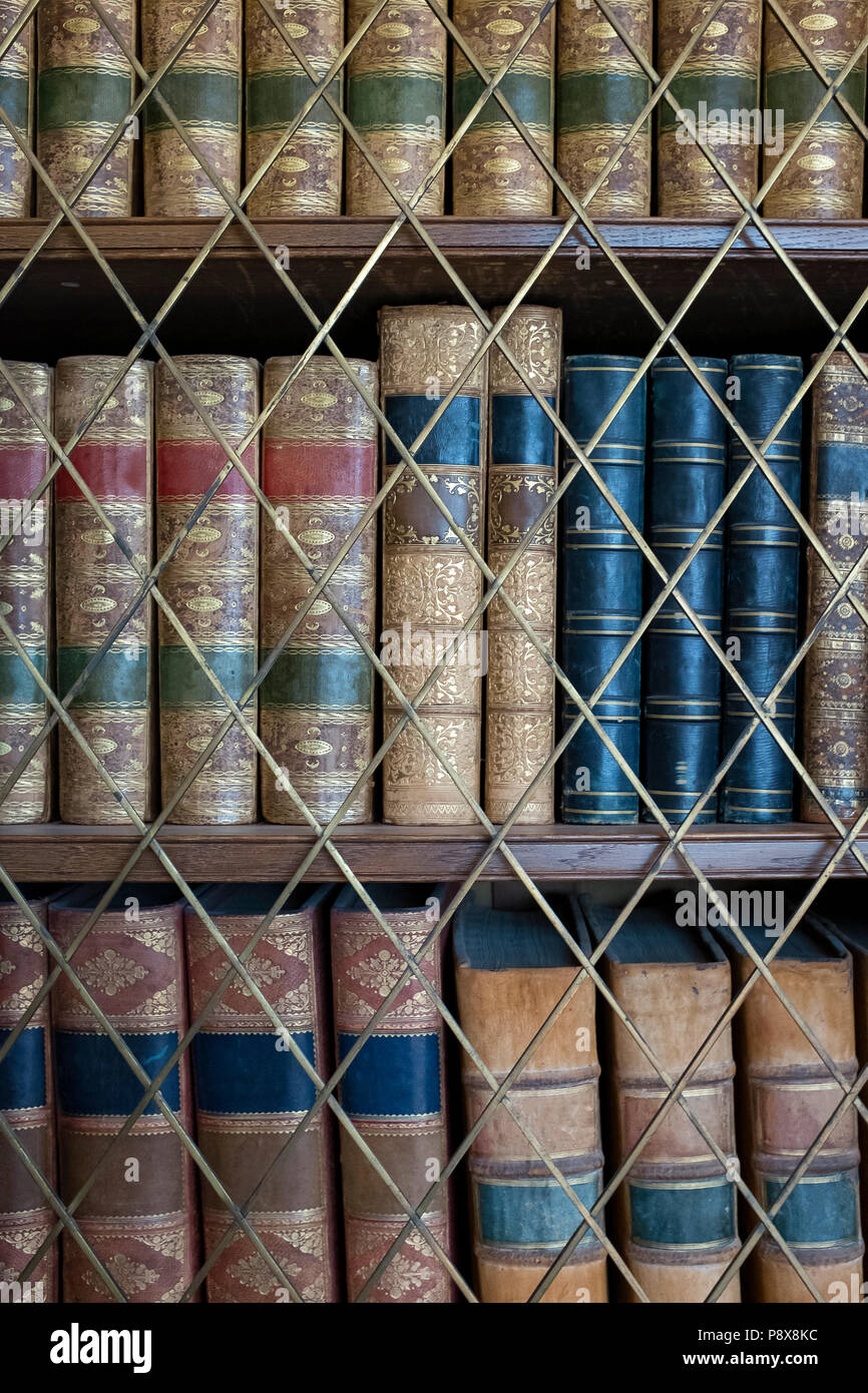 Antike Bücherregale hinter Glas Gitter Tür Stockfoto
