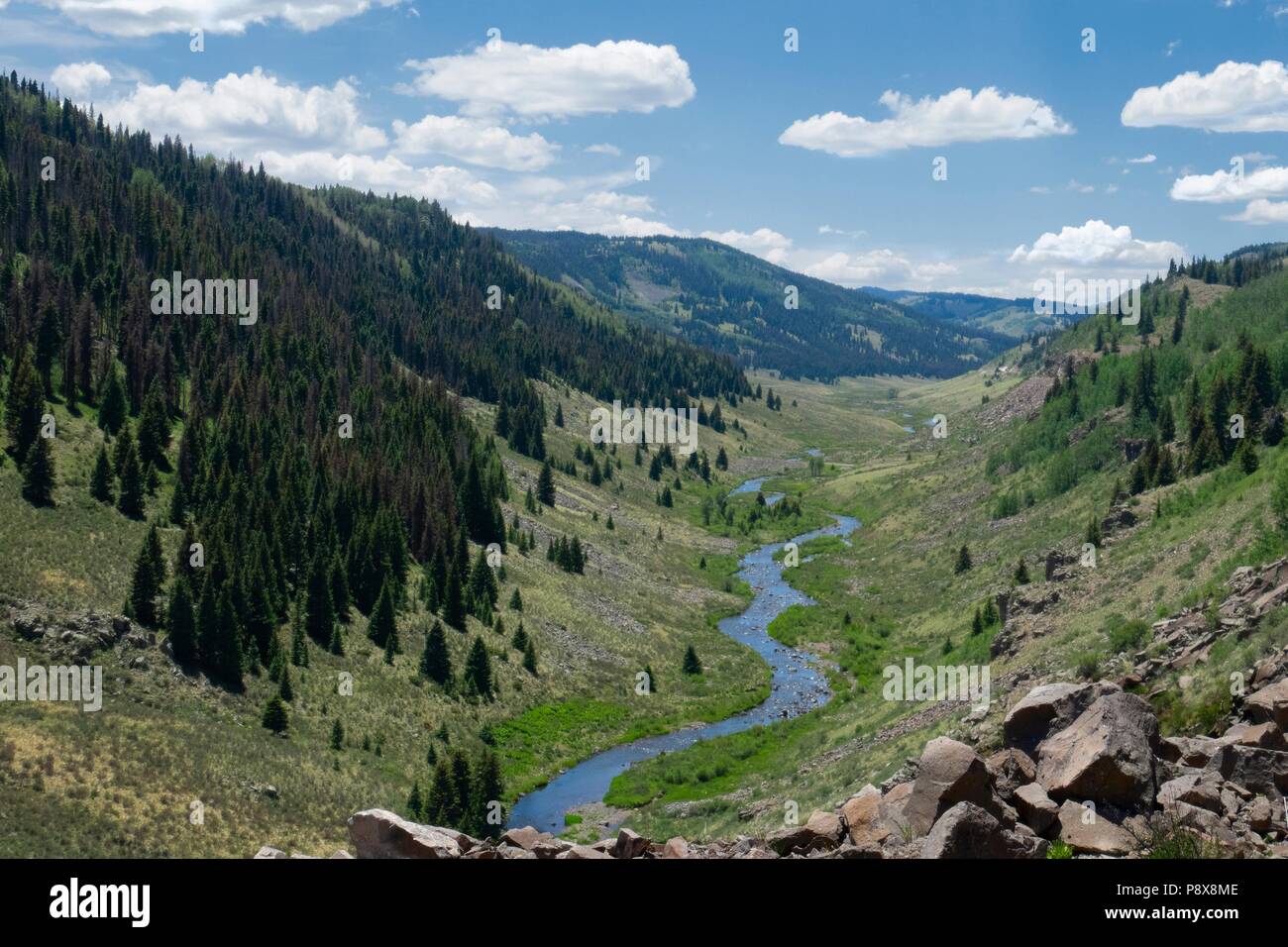 Die Rio de Los Pinos fließt durch die üppige Landschaft der Tal in den Bergen von Colorado, wie die Cumbres und Toltec scenic railro gesehen Stockfoto