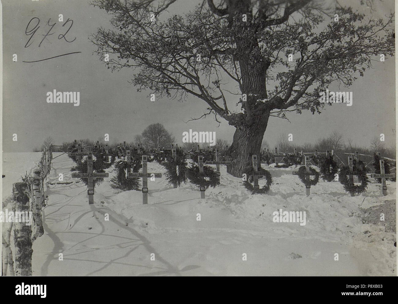 . 114 Deutscher Heldenfriedhof in Podwysokie. (BildID) 15727740 Stockfoto