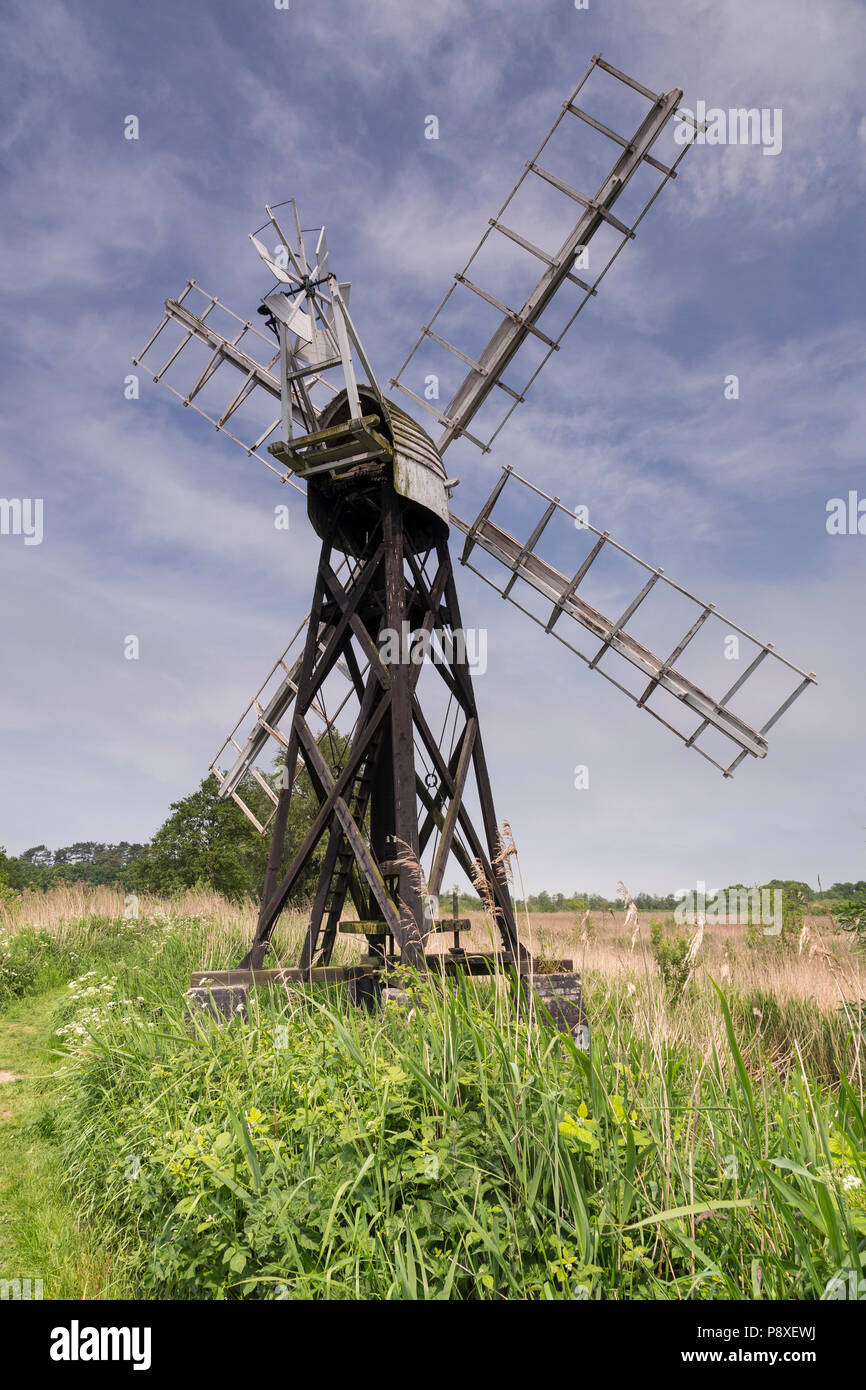 Windmühle in den Norfolk Broads, Norfolk, England Stockfoto