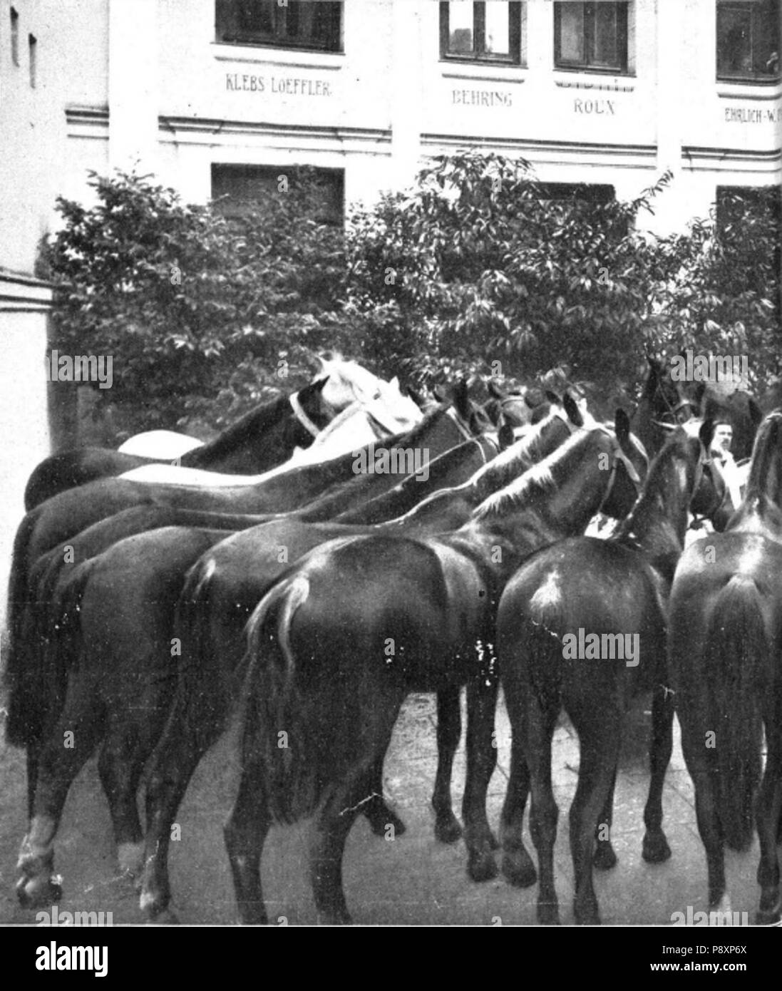 273 El Instituto Llorente y la Salud Pública Stockfoto