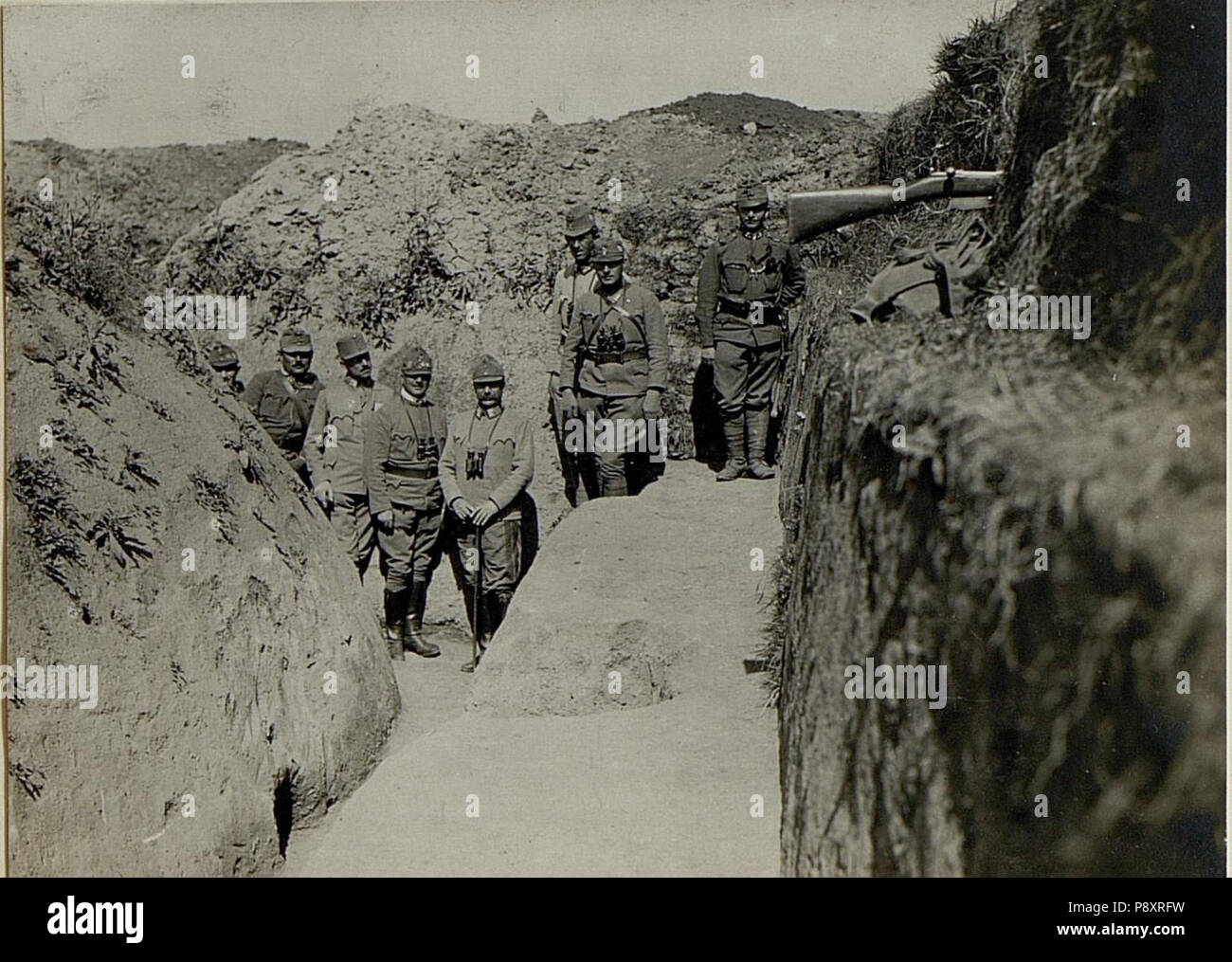 283 Feldmarschalleutnant. Hofmann beim Feldjägerbataillon 32 der BildID Strypa (15527324) Stockfoto