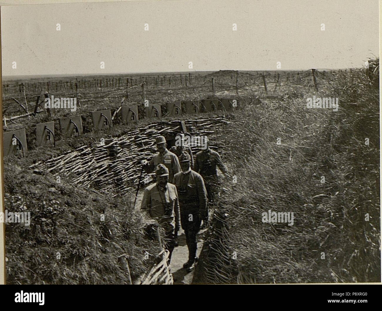 283 Feldmarschalleutnant Hofmann bei BildID Feldjägerbataillon 32 (15527373) Stockfoto