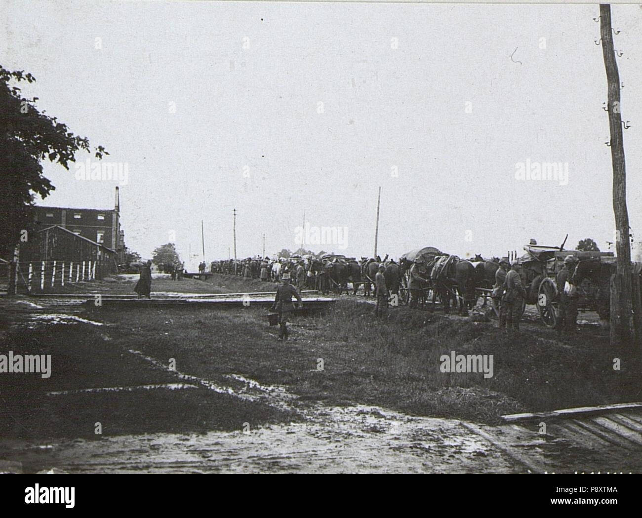 288 Flüchtlinge, Kowel. (BildID) 15691839 Stockfoto