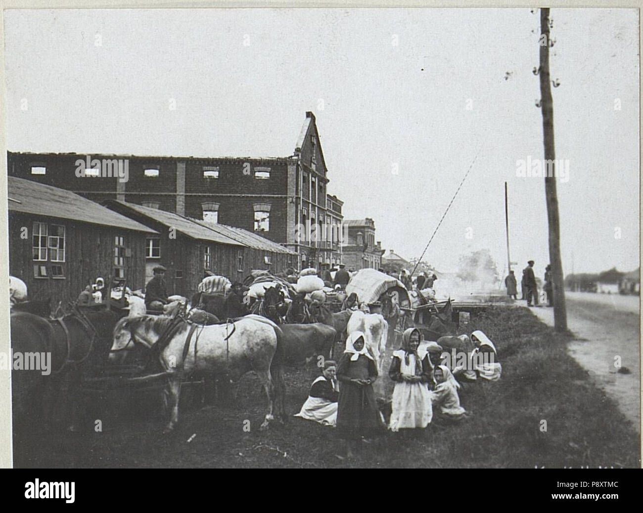 288 Flüchtlinge, Kowel. (BildID) 15691853 Stockfoto