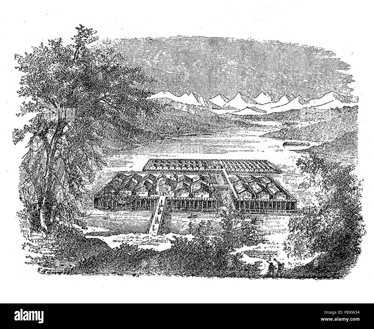 . 591 Zürich Siedlung Stockfoto