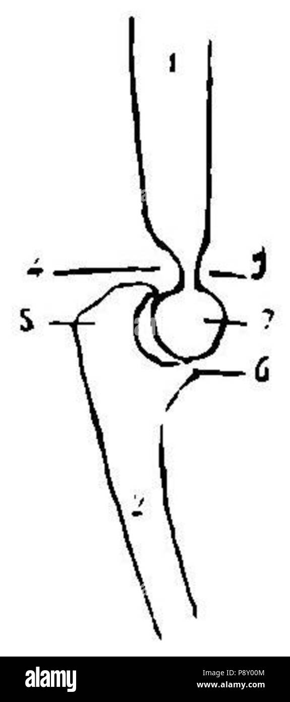 . 314 Grierson 3b Codo Stockfoto