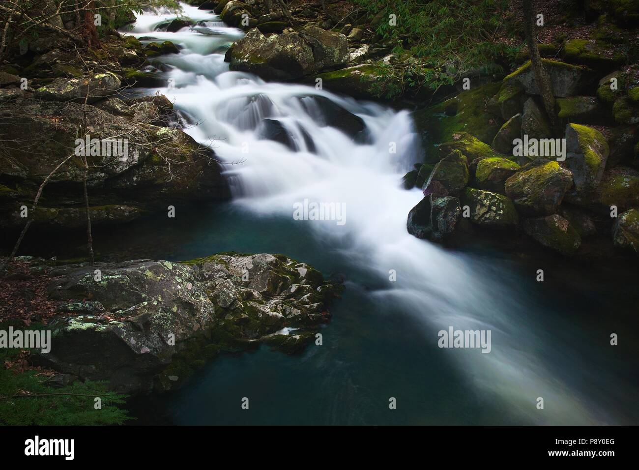 Hoher Kontrast, Wide Format, lange - Exposition cascade entlang der mittleren Stift Trail in der Great Smoky Mountain National Park. Stockfoto