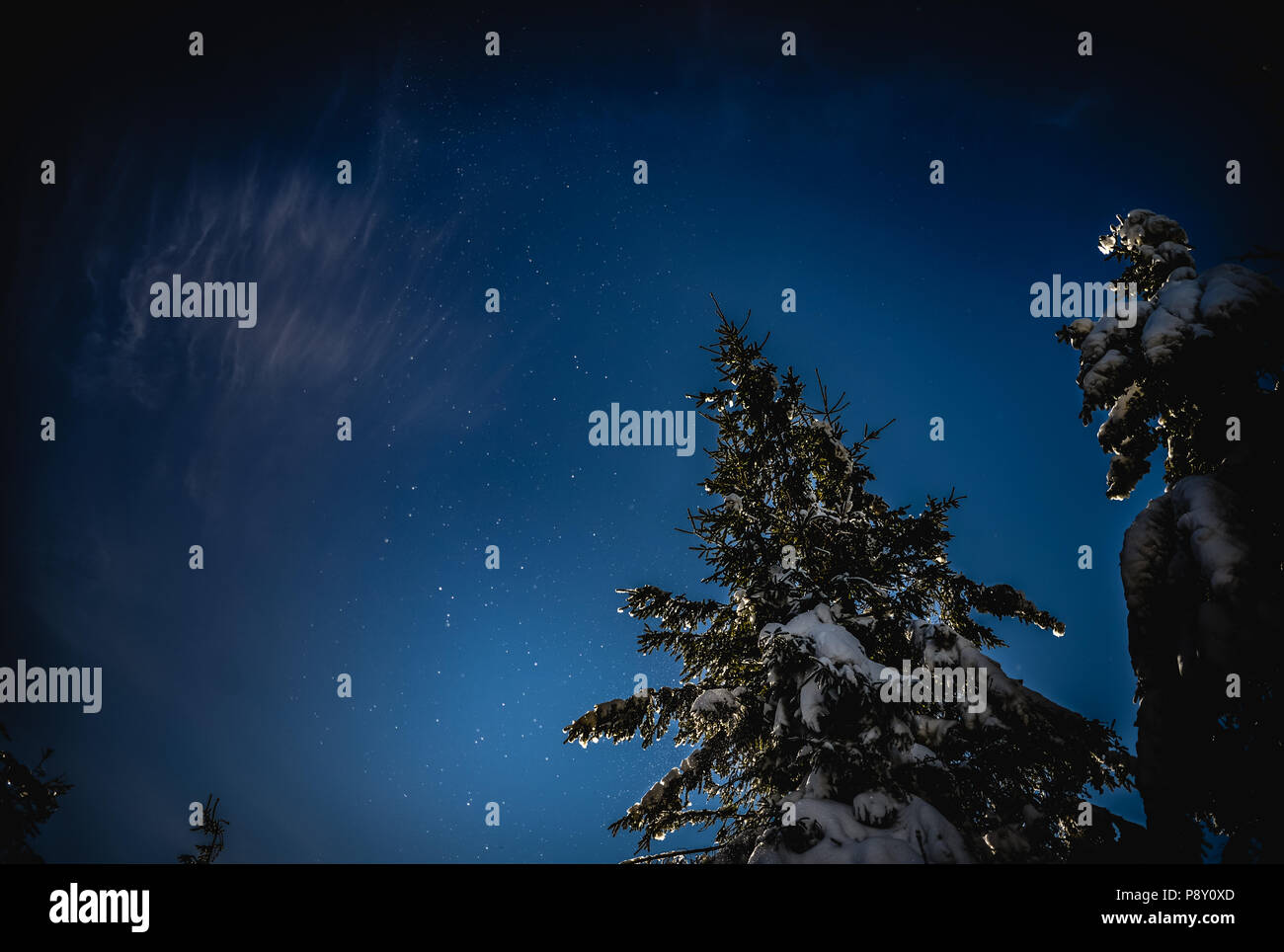 Platz im Wald. Schnee wie Sterne. Stockfoto