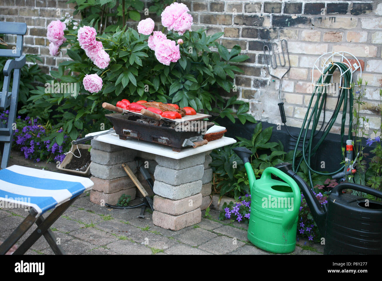 Grillen auf dem Hinterhof 2012 Stockfoto