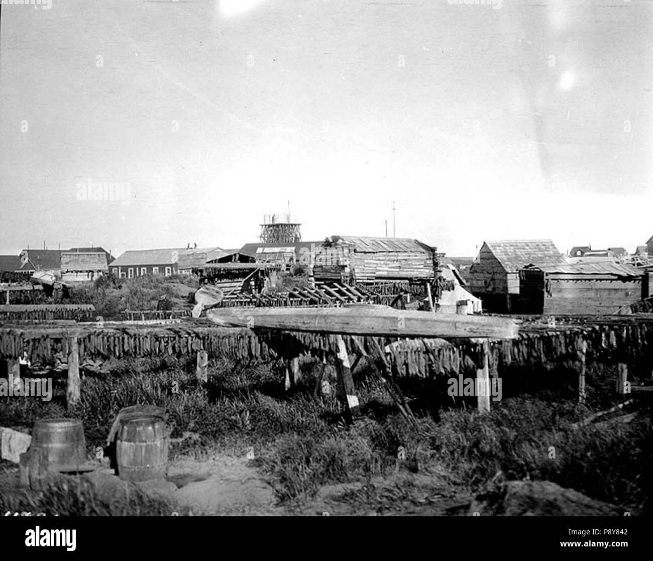 . 278 Eskimo Dorf Koggiung, Alaska, 1917 (COBB 148) Stockfoto