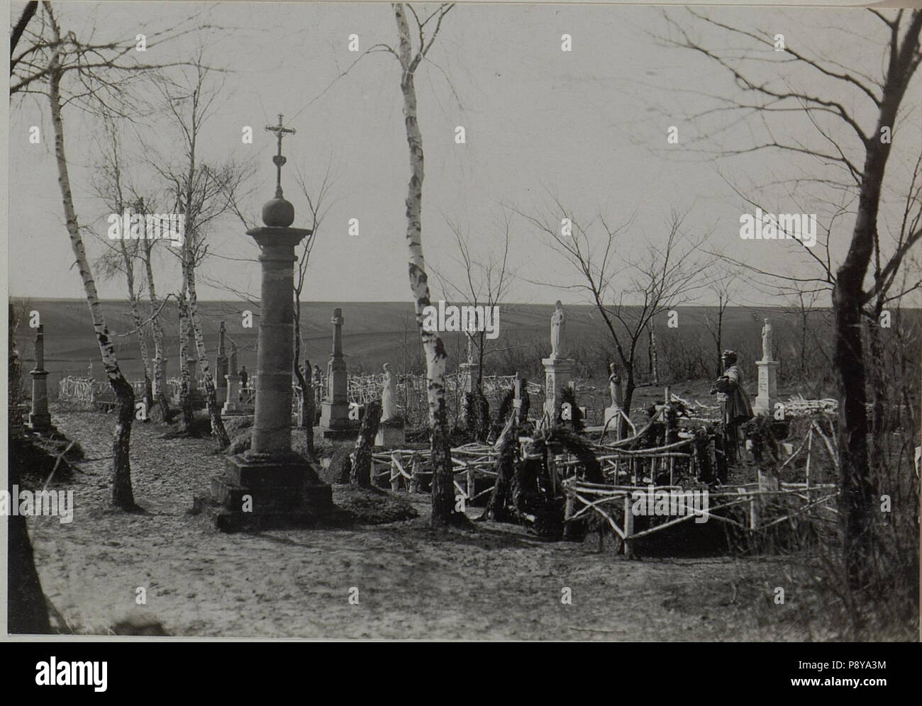 291 Friedhof in Jezierna BildID mit Militärabteilung (15441425) Stockfoto