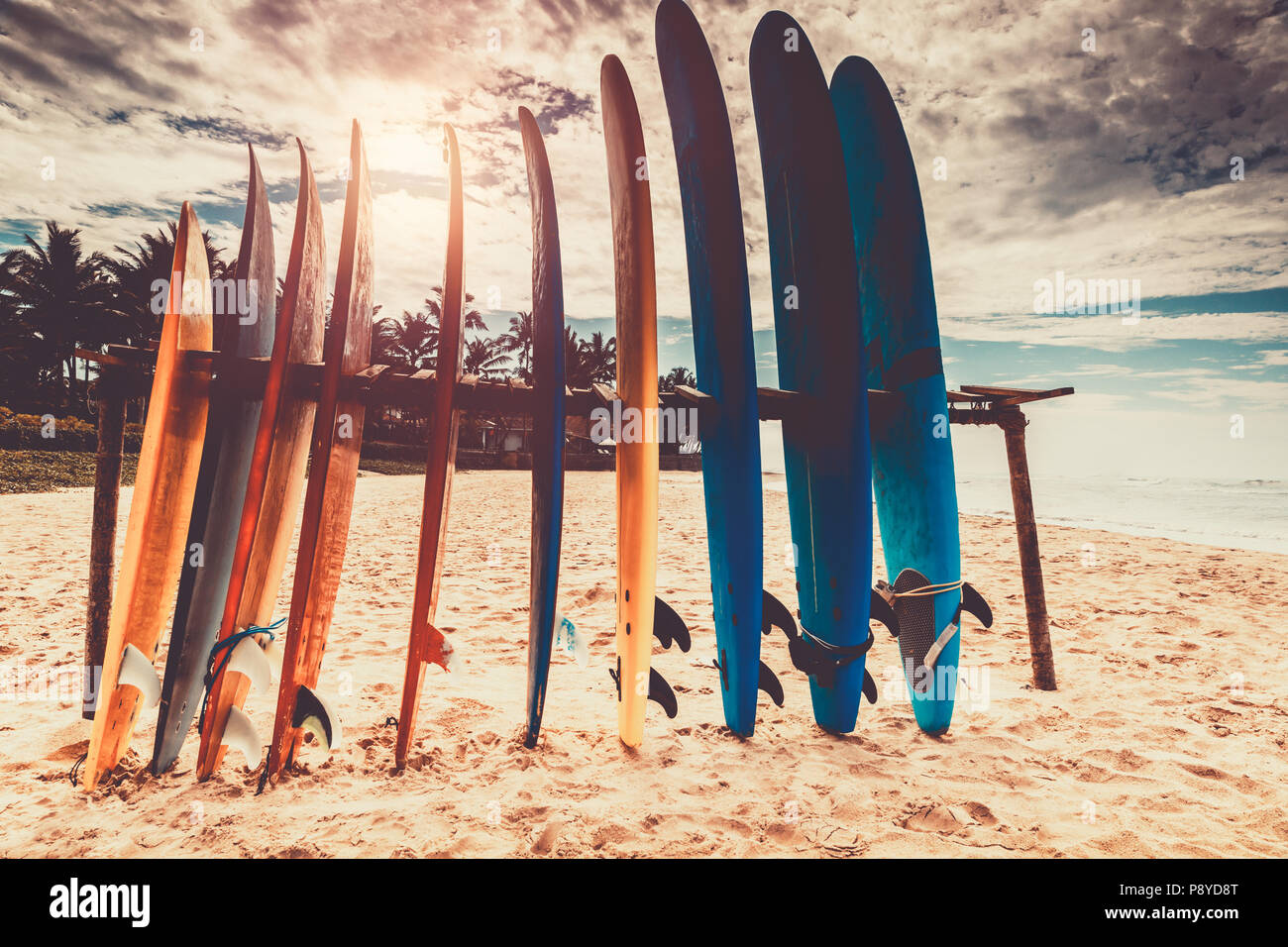 Surfbretter, viele verschiedene Boards surfen am Strand, Wassersport, happy Sommer aktiv Urlaub Stockfoto