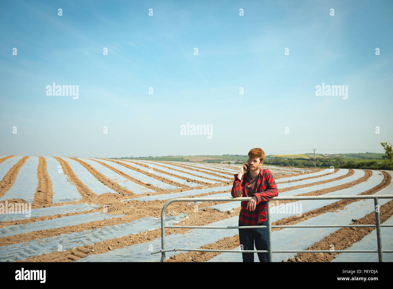 Mann lehnte sich auf Geländern und über Handy in das Feld Stockfoto