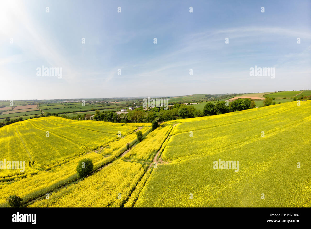 Feld auf einem Hang an einem sonnigen Tag Stockfoto