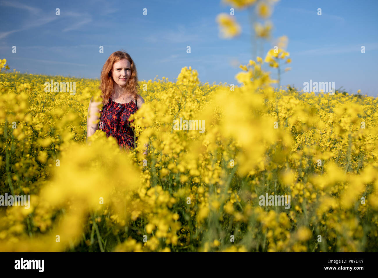 Frau, die in den Senf Feld Stockfoto