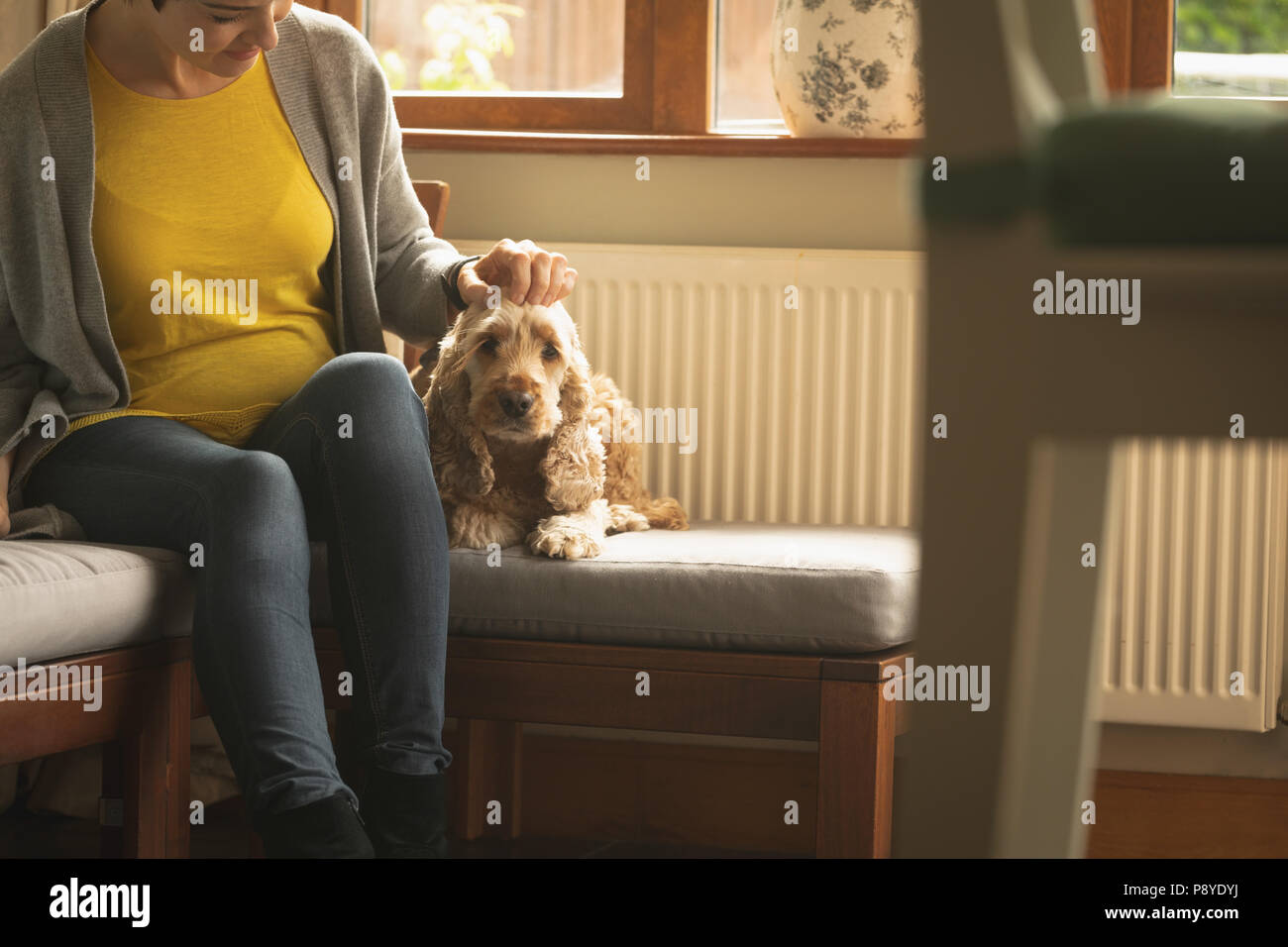 Schwangere Frau streichelt Hund im Wohnzimmer Stockfoto