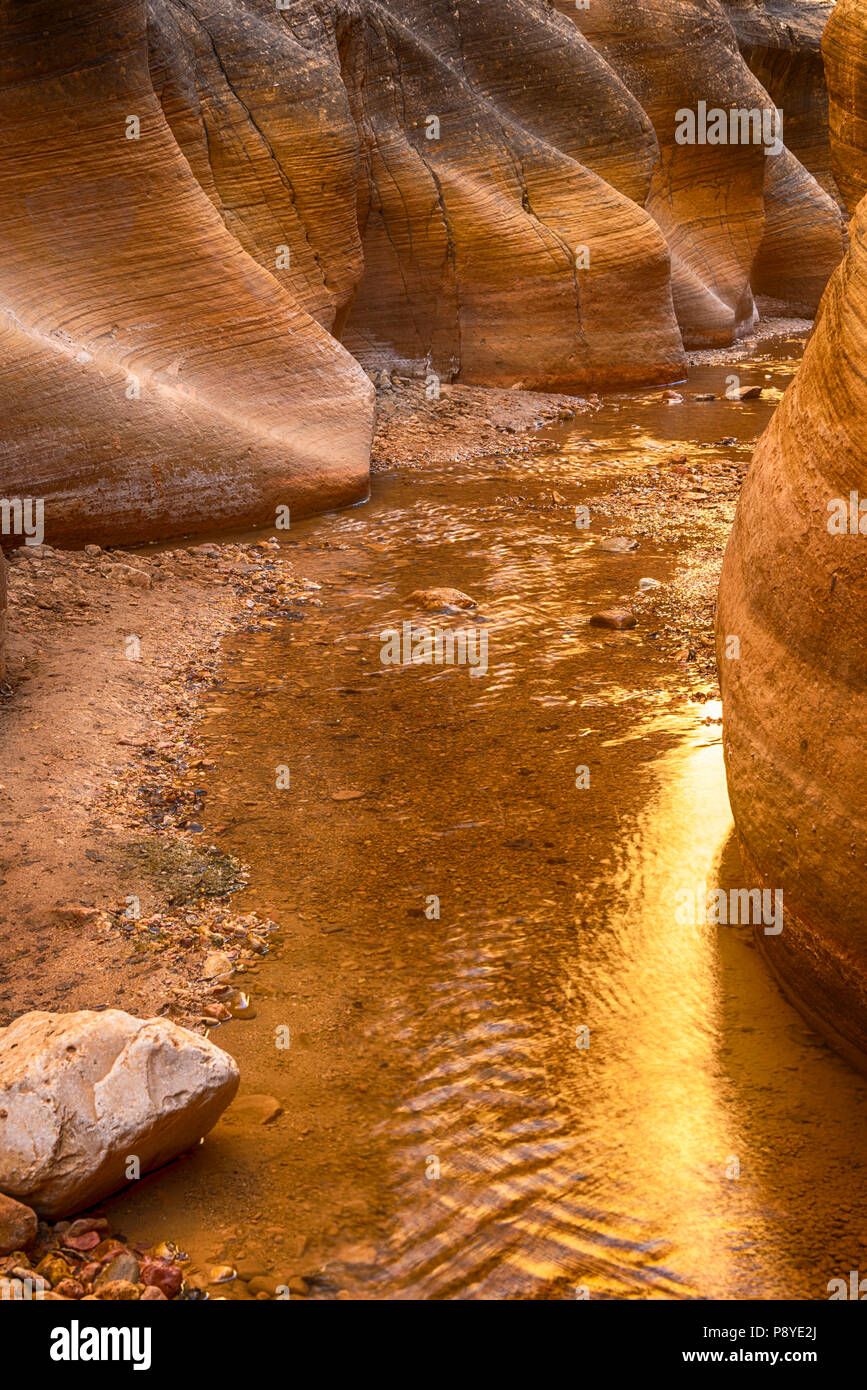 Willis Creek Canyon, Grand Staircase-Escalante National Monument in Utah gelegen Stockfoto