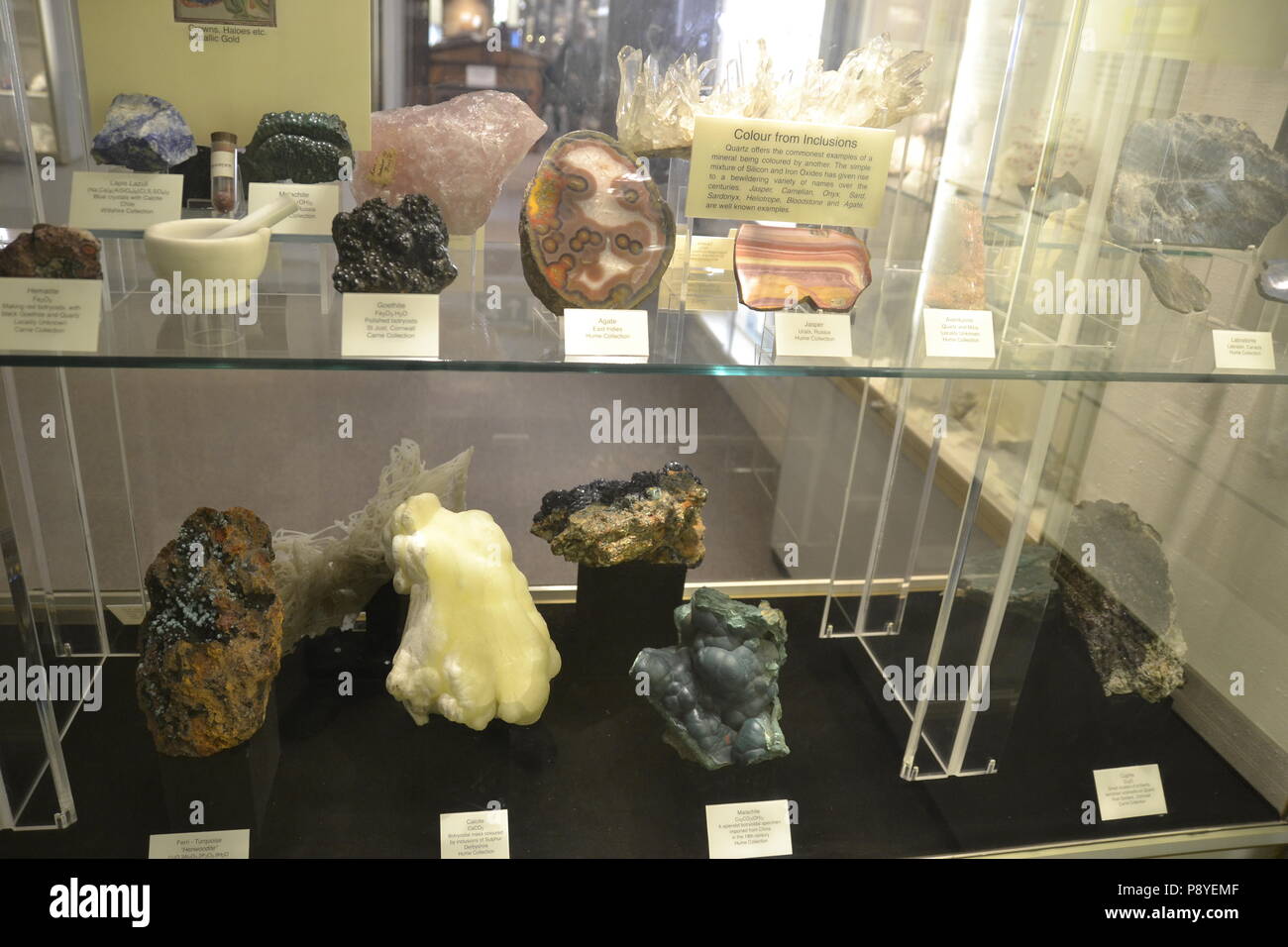 Felsen und crsytals im Sedgwick Museum, Cambridge, England, UK. Fossil Museum. Stockfoto