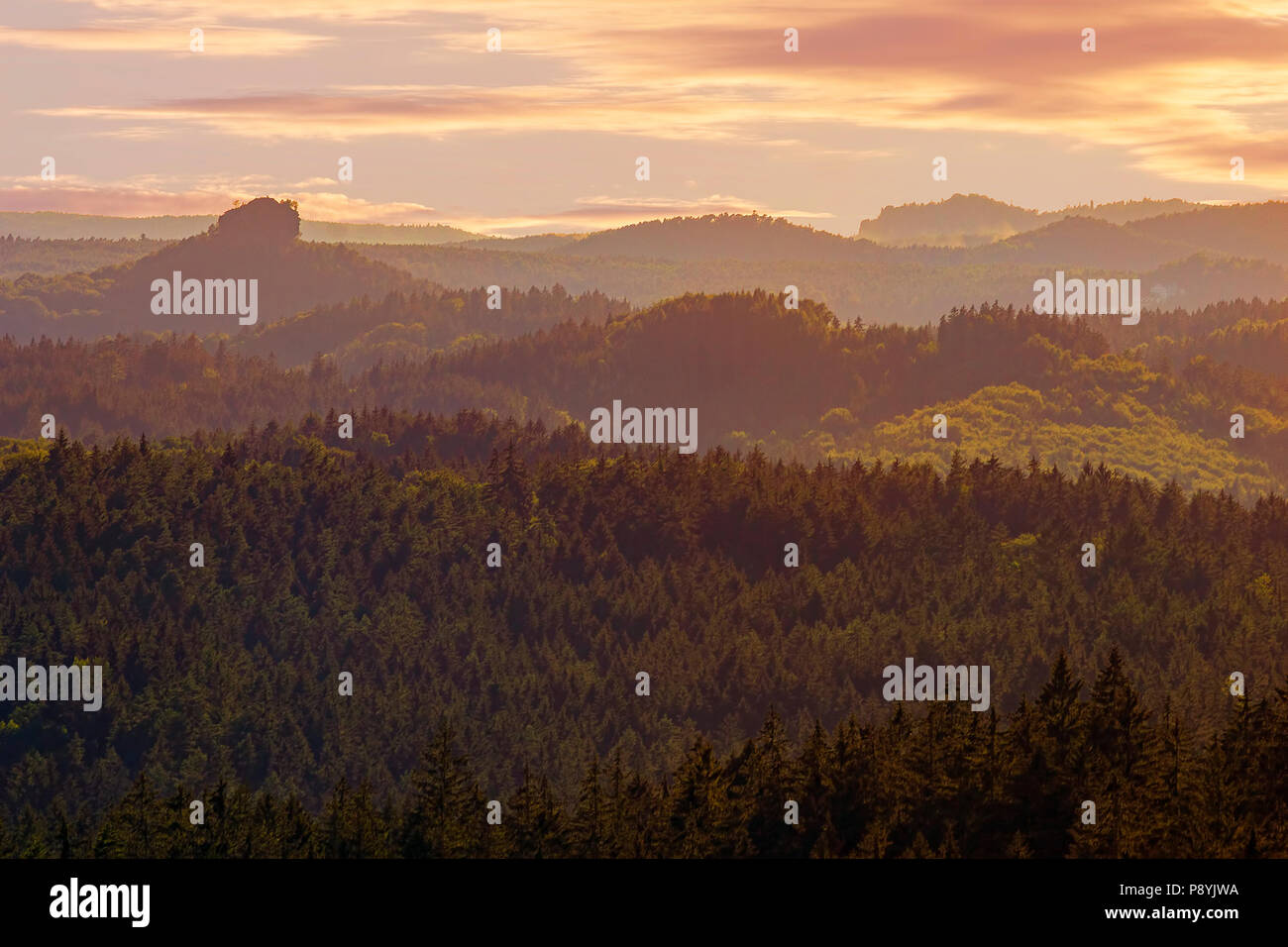 Romantische Landschaft in der Tschechischen Republik, Tschechische â € " Schweiz Nationalpark, Wälder im Sonnenuntergang Stockfoto