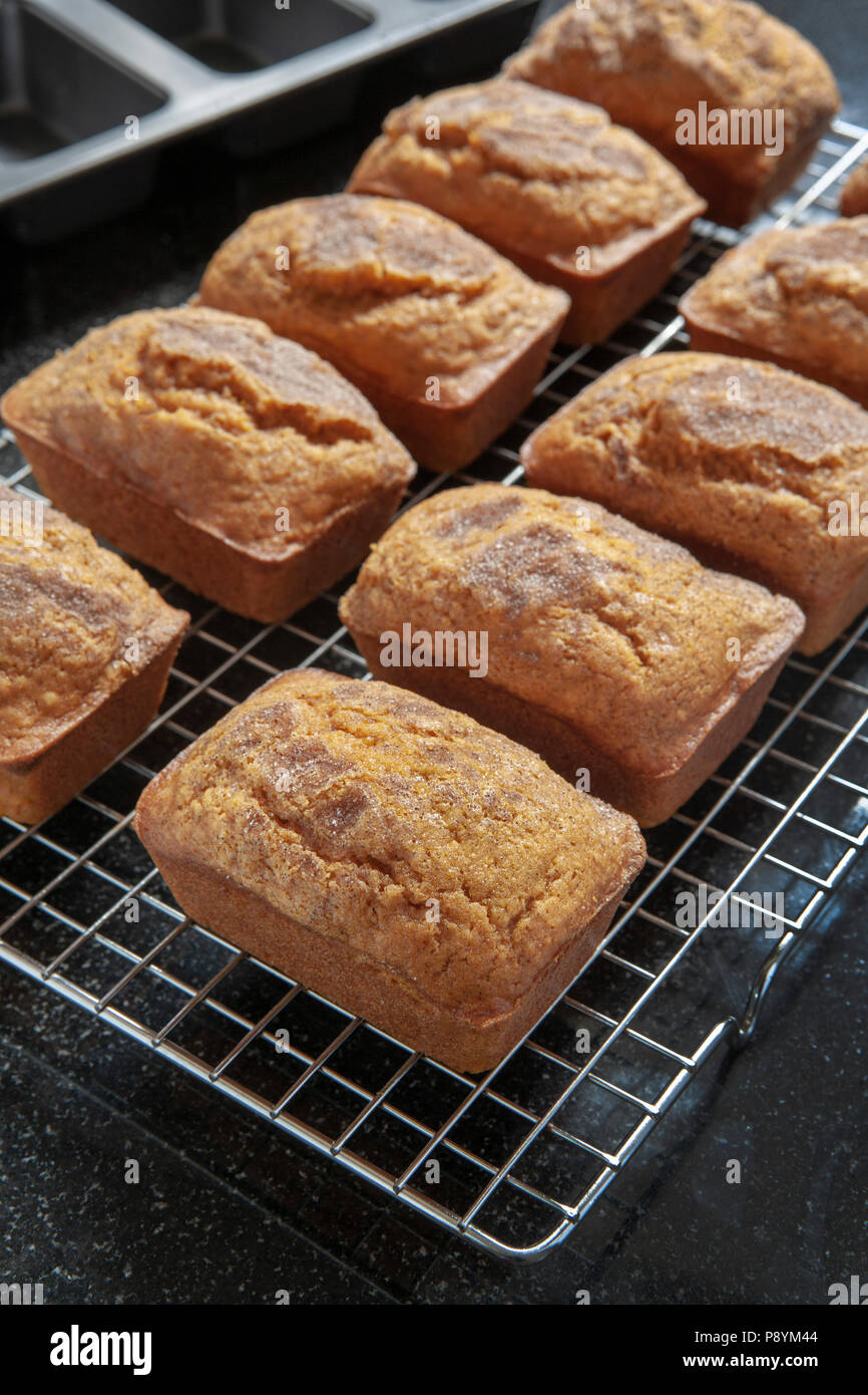 Mini Kürbis Brot auf die Kühlung Rack Stockfoto