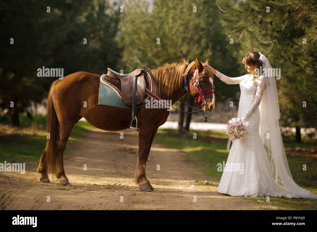 Braut und Bräutigam Pferd traditionelle Hochzeit ehe Türkisch Stockfoto