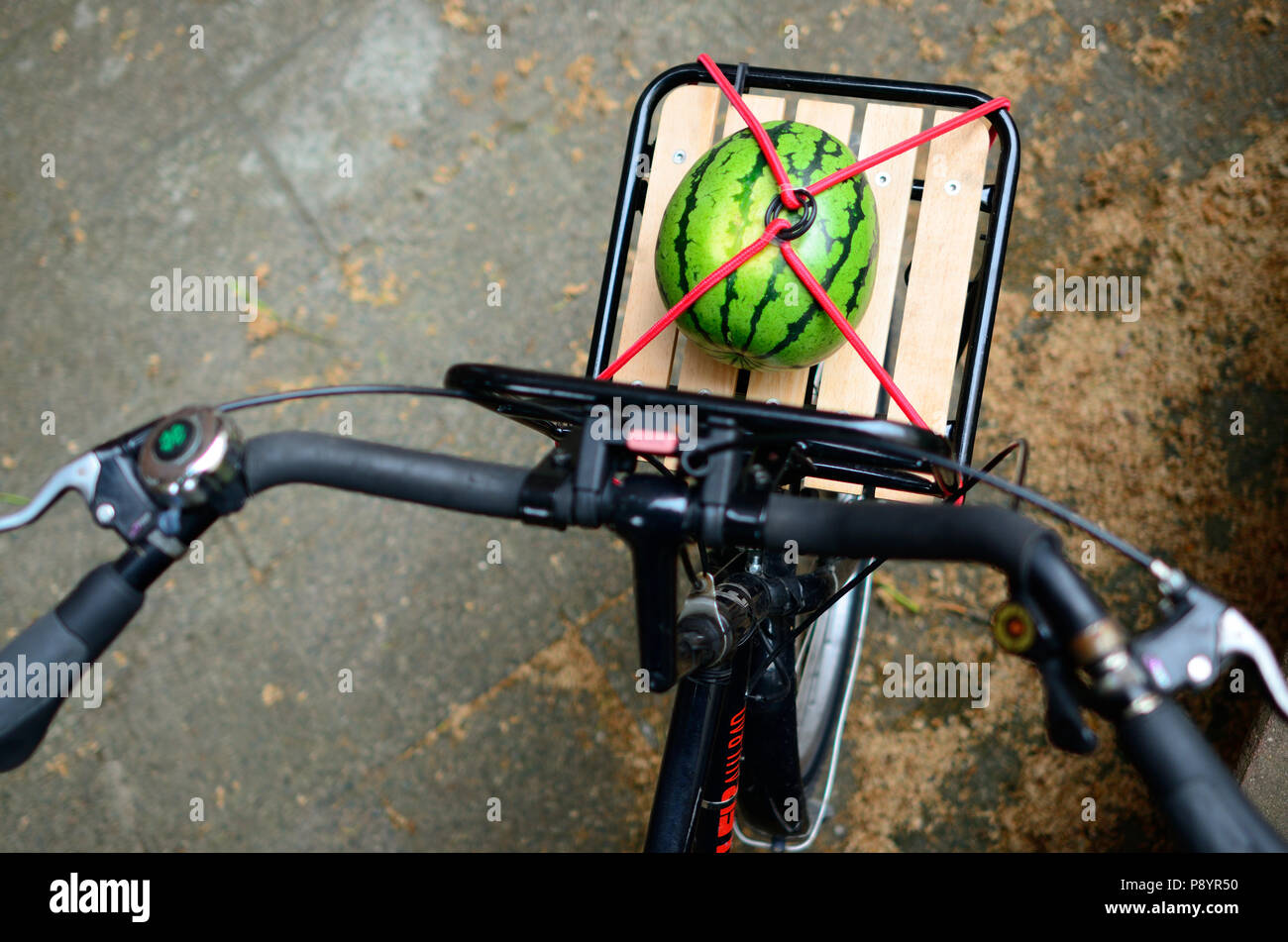 Besten Wassermelone Foto, Wassermelone auf dem Fahrrad, organische, biologische Ernährung Lifestyle Lifestyle Stockfoto