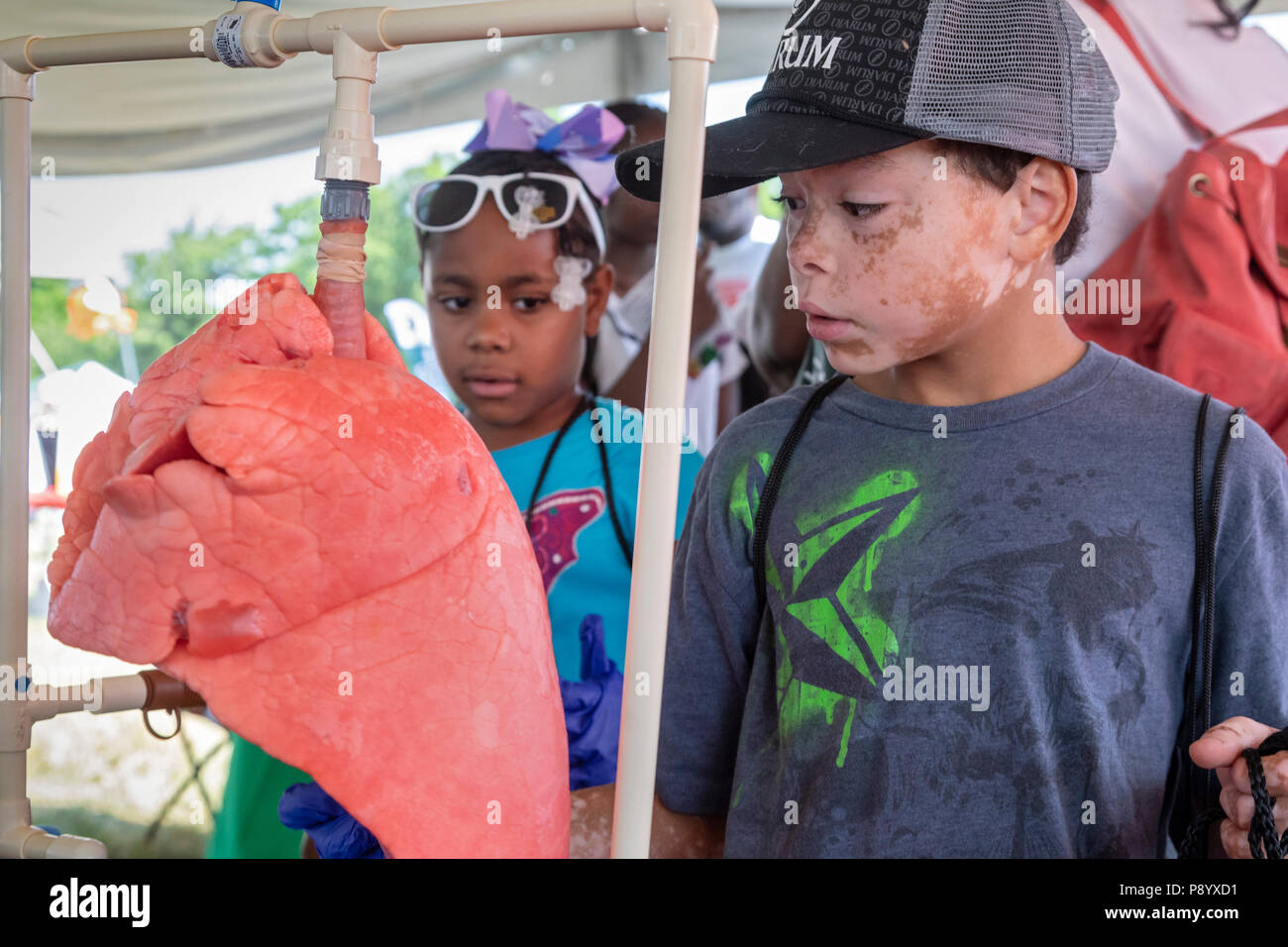 Detroit, Michigan - Kinder untersuchen Sie ein Schwein Lungenkrebs bei der Metro Detroit Tag der Jugend. Tausende von Kindern im Alter von 8-15 die jährliche Veranstaltung auf Belle Isle, w teilnehmen Stockfoto