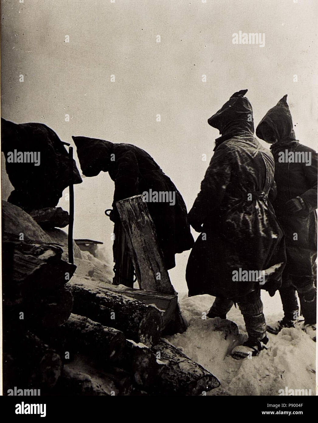 320 gröberen Findenig. BildID Trägerkomp (15496661) Stockfoto
