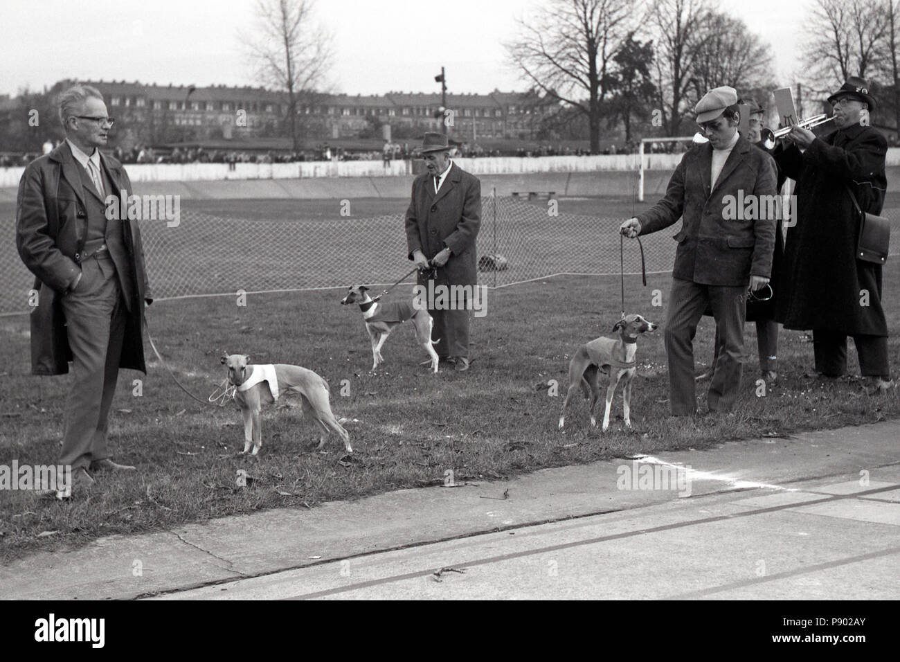 Dresden, DDR, Besitzer der Windhunde vor einem Greyhound Race auf dem ehemaligen Radweg Johannstadt Stockfoto