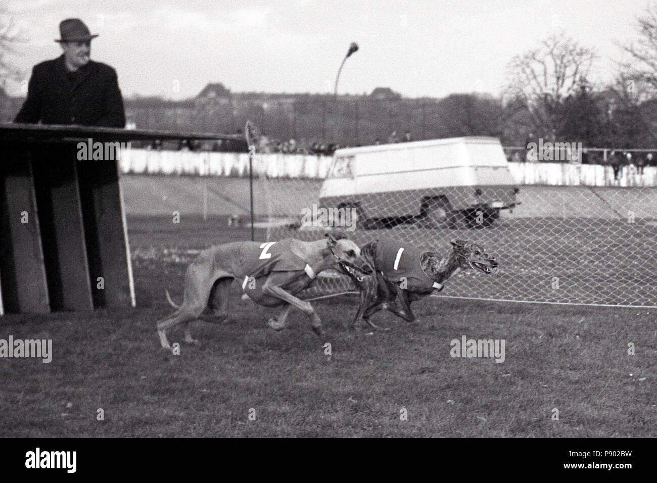 Dresden, DDR, der Start eines Greyhound Race auf dem ehemaligen Radweg Johannstadt Stockfoto