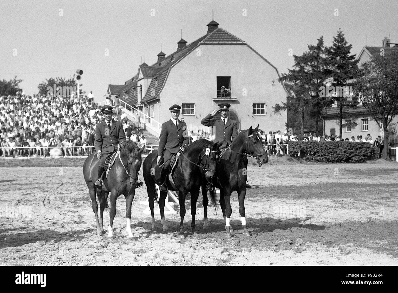 VE Hengstdepot Moritzburg, Frühling - tragend Warmblood Stallions in den Kurs an der Moritzburg Hengst Parade Stockfoto