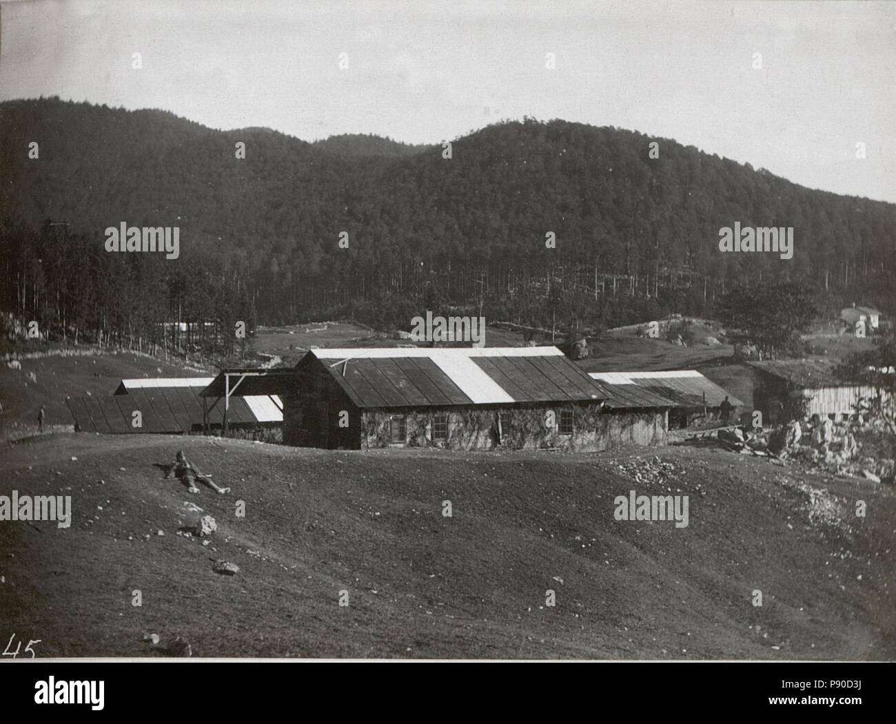 . 331 Hilfsplatz im Ternovanerwalde. 3.9.17. (BildID) 15601919 Stockfoto