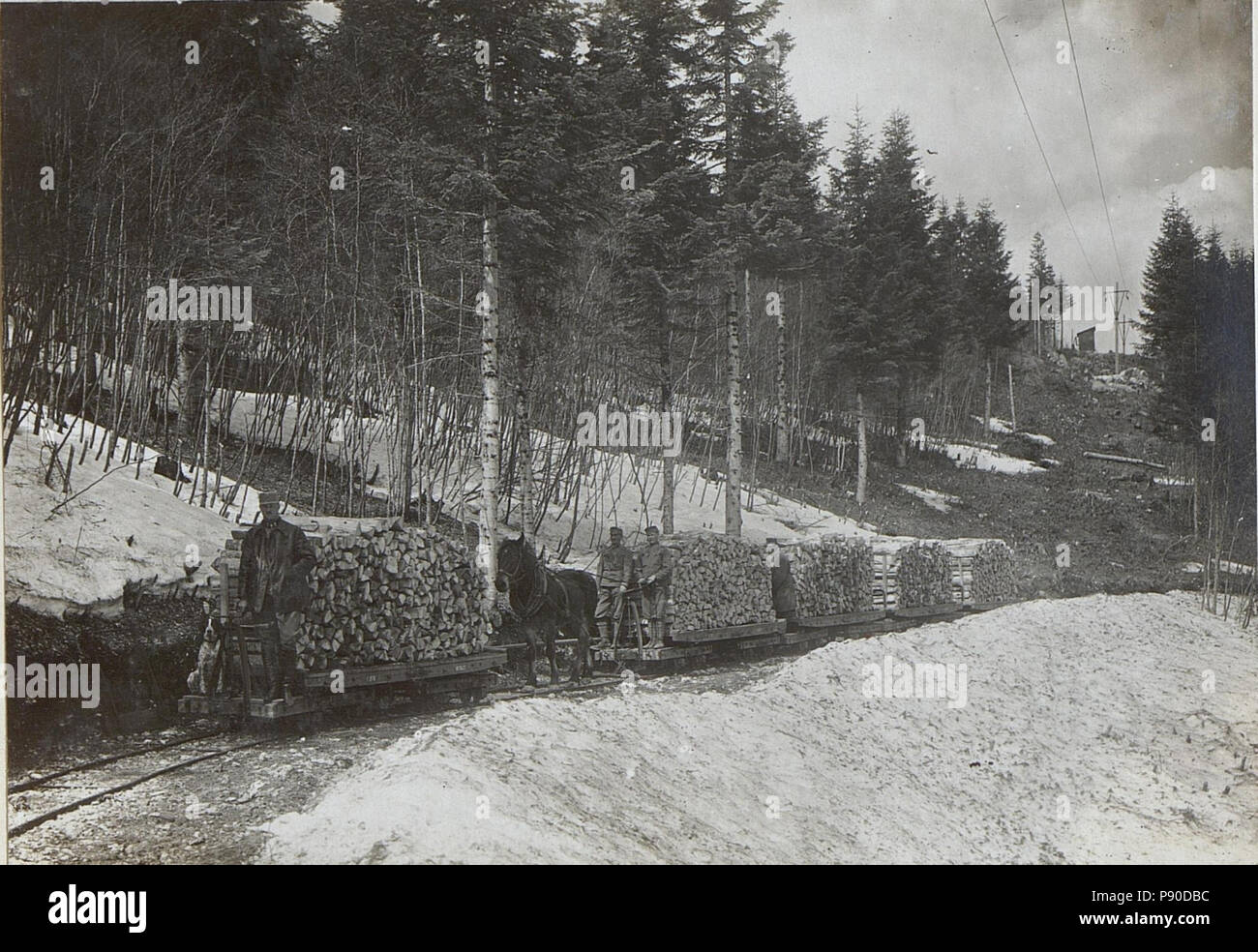 . 332 Holz und Kohlengewinnung in BildID Predmeja (15596706) Stockfoto