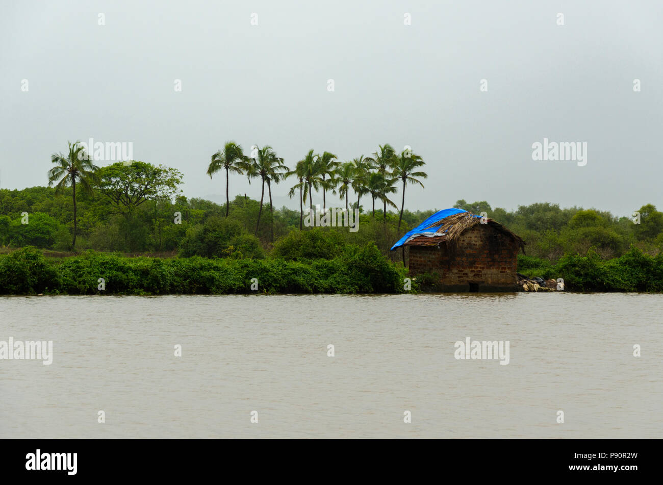 Schöne Aussicht auf den Fluss Ems backwaters von Joe's River Cove, Cavelossim, Goa, Indien Stockfoto