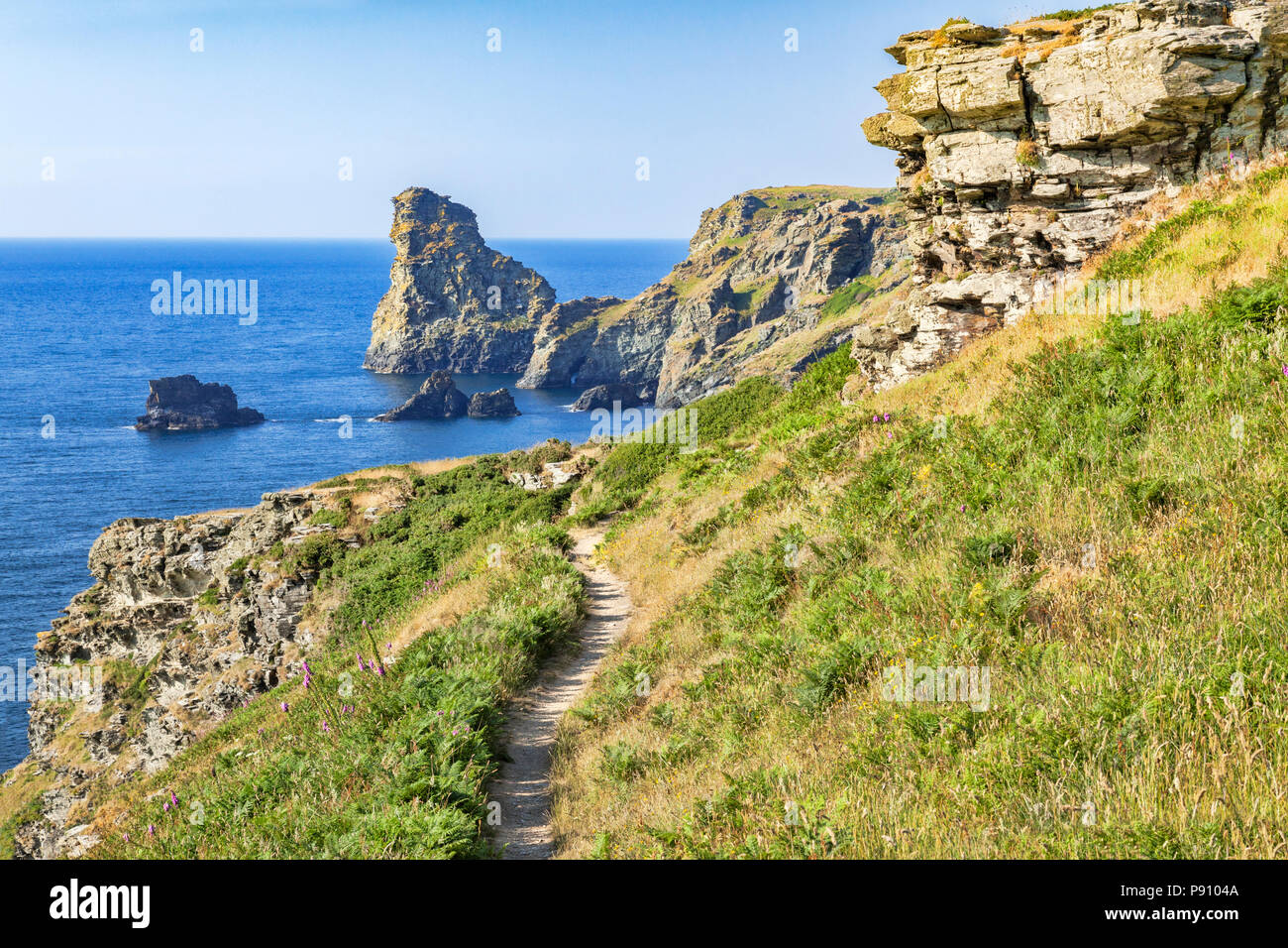 Der South West Coast Path in einem wunderschönen Teil der Küste zwischen Cornwall Tintagel und Bossiney, mit Klippen und Felsen vor der Küste, auf einem wunderschönen s Stockfoto