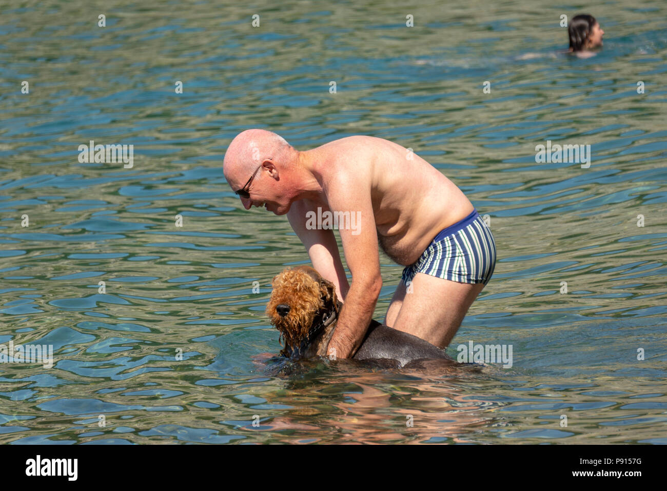 Strunjan, Slowenien, 14. Juli 2018. Ein Mann aktualisiert seinen Hund an einem Strand an der Adria in der strunjan Naturpark, der der längste Abschnitt des u Stockfoto