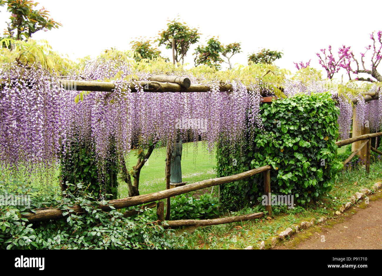 Garten Torbogen mit hngenden Blten in der Villa Cimbrone, Ravello, Amalfi  Kste, Italien Stockfotografie - Alamy