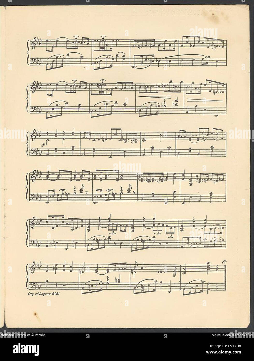 . 401 Leslie-Stewart-Lily des Laguna 1 - Blatt 6 Stockfoto