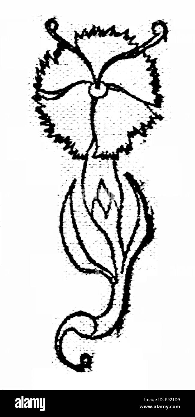 413 Maske des Edwards - Gillyflower Stockfoto