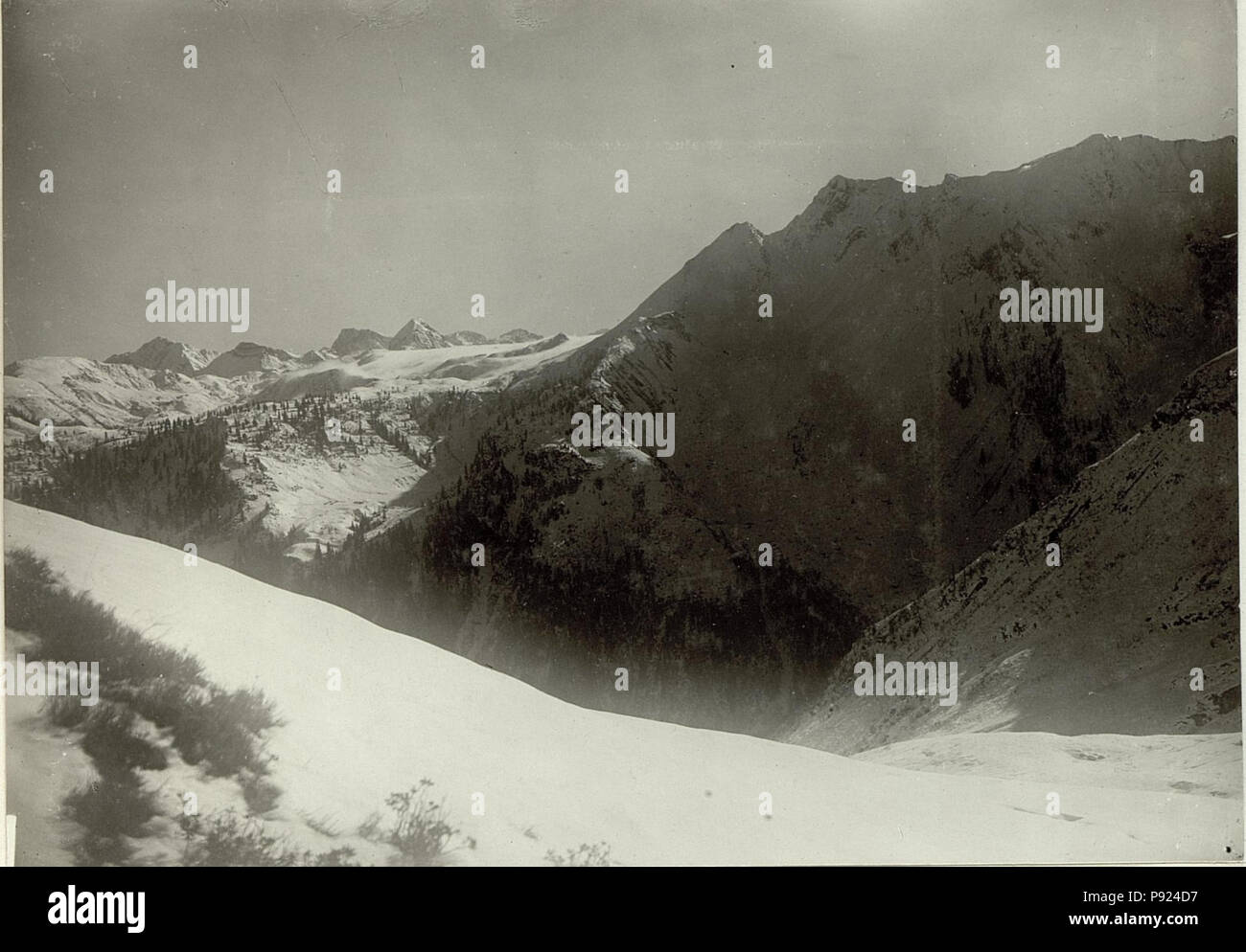 . 433 Nordabhang des hohen Trieb, links Abb. Findeniggkofl, Schulterkofl. Hochwipfel. (BildID) 15464102 Stockfoto