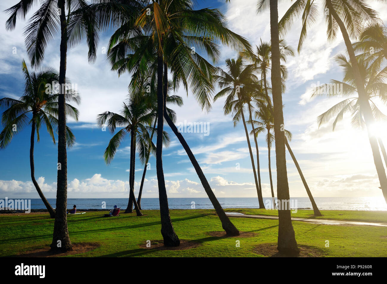 Sunrise mit Palmen in Salt Pond Beach Park auf Kauai, Hawaii Stockfoto