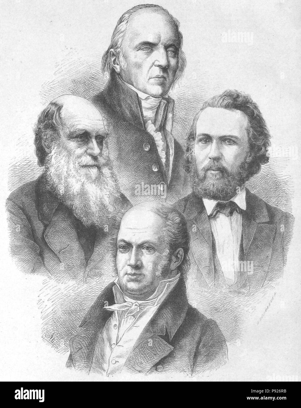 . 21 4 die Evolutionisten (1873) Stockfoto