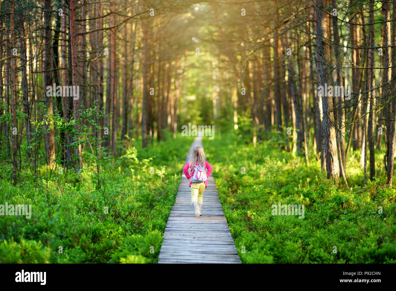 Süße kleine Mädchen folgenden Holz- Weg durch dichten Wald auf den schönen Sommerabend. Aktive Freizeit für Familien mit Kindern. Stockfoto