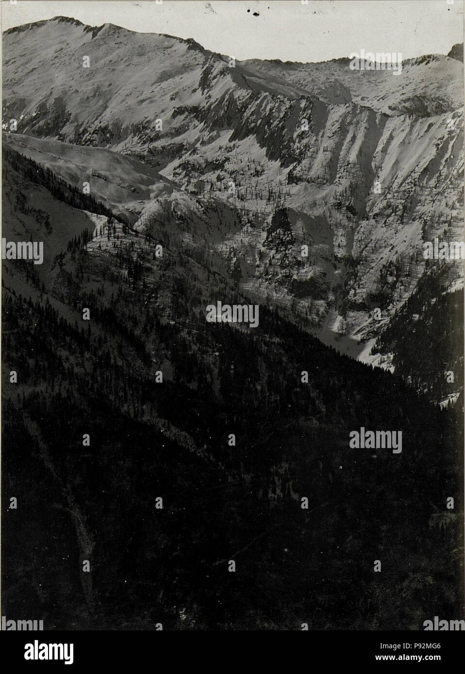 . 449 Panorama, C., Pissola Lavanech. Die Standpunkt, Doss dei Morti. (5. Teilbild zu WK1 ALB08224344 a) (BildID) 15630342 Stockfoto