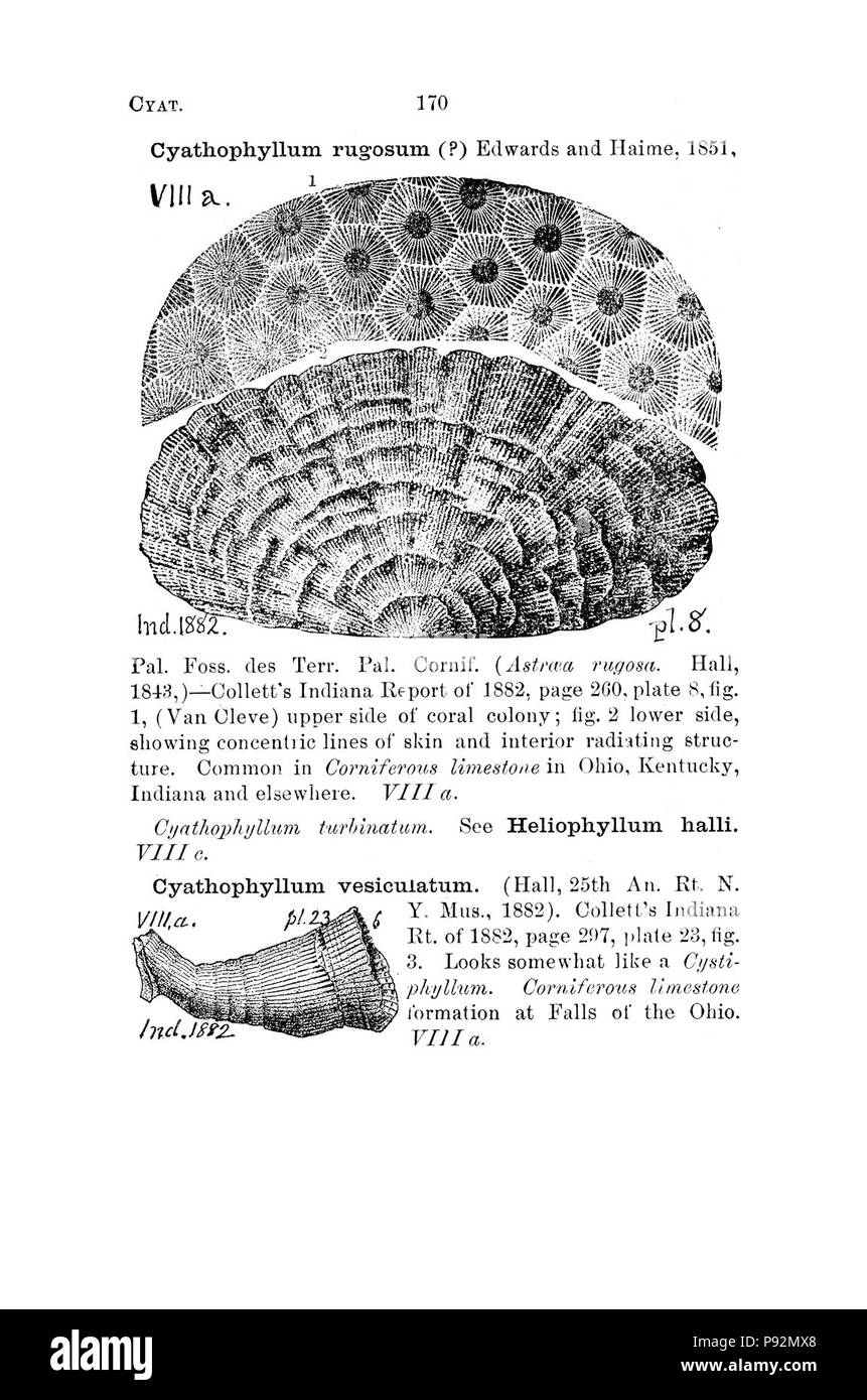 Ein Wörterbuch der Fossilien von Pennsylvania und Nachbarstaaten in die Berichte und Kataloge der Umfrage benannt (Seite 170) Stockfoto