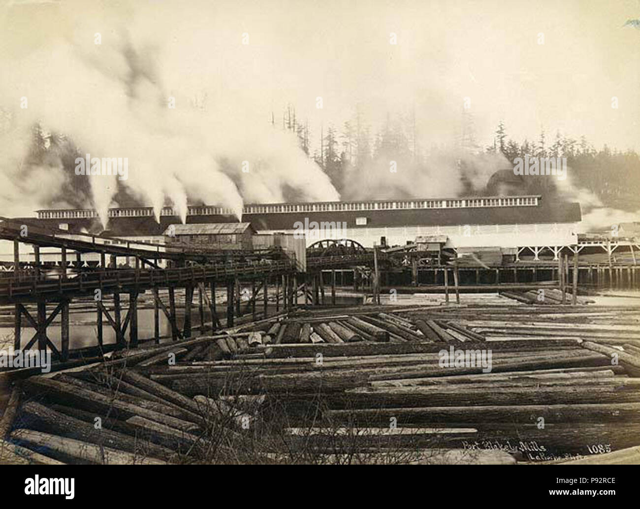 . 468 Port Blakely Sägewerk, Washington, ca 1891 (LAROCHE 295) Stockfoto