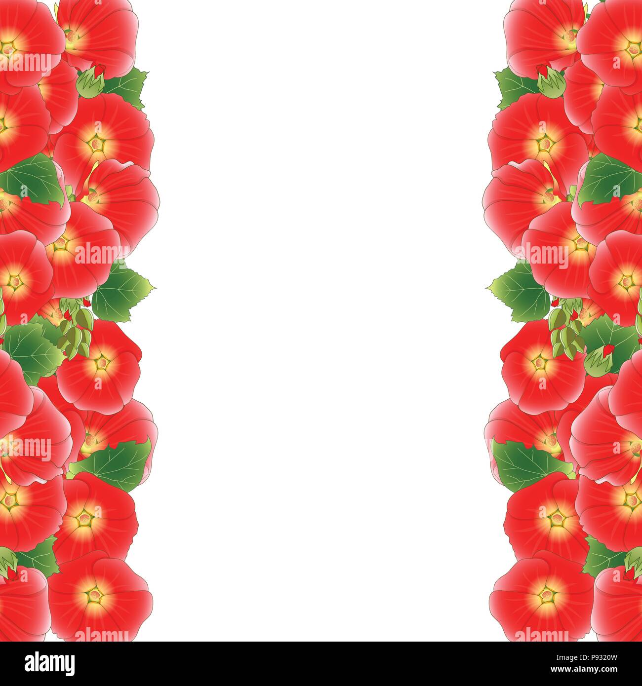 Red Alcea Rosea Grenze - Stockrosen, Aoi in der Mallow Familie Malvaceae. auf weißem Hintergrund. Vector Illustration. Stock Vektor